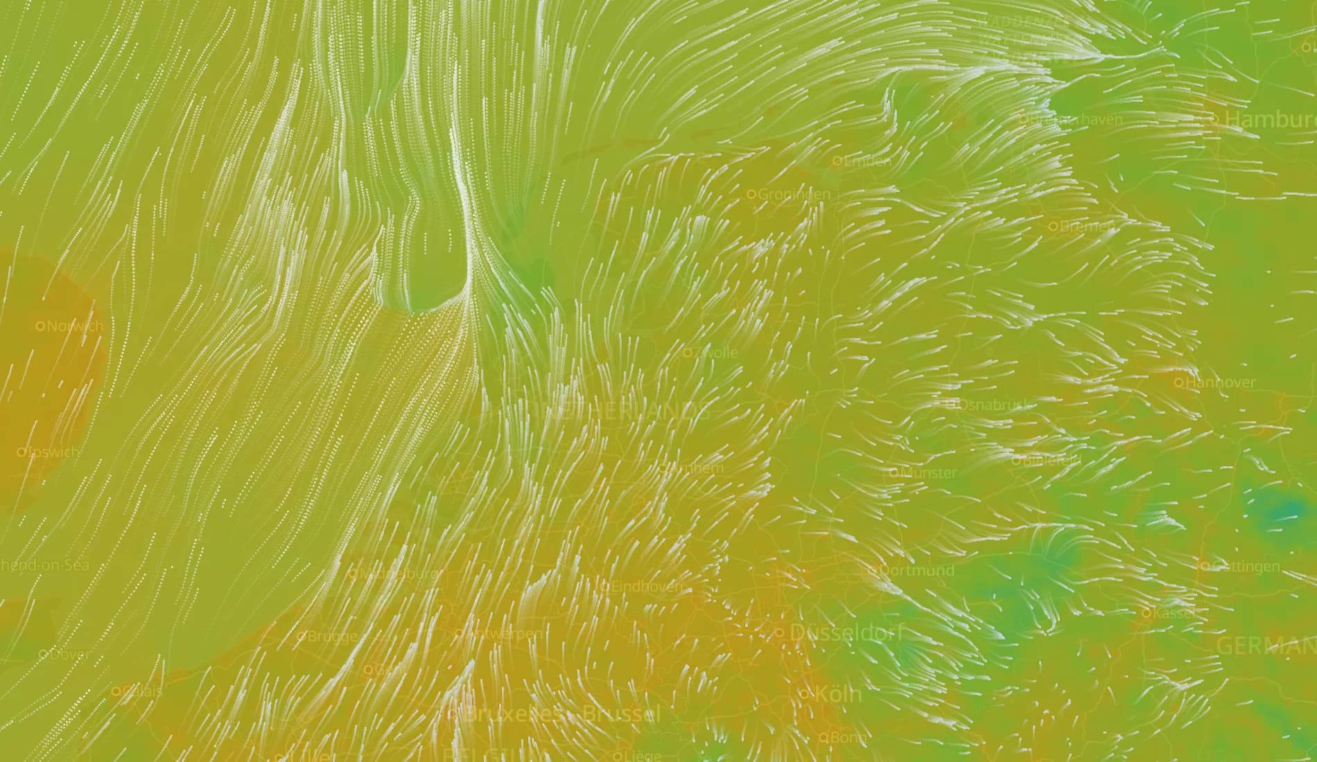 Wind particles and temperature over the Netherlands on the weather map