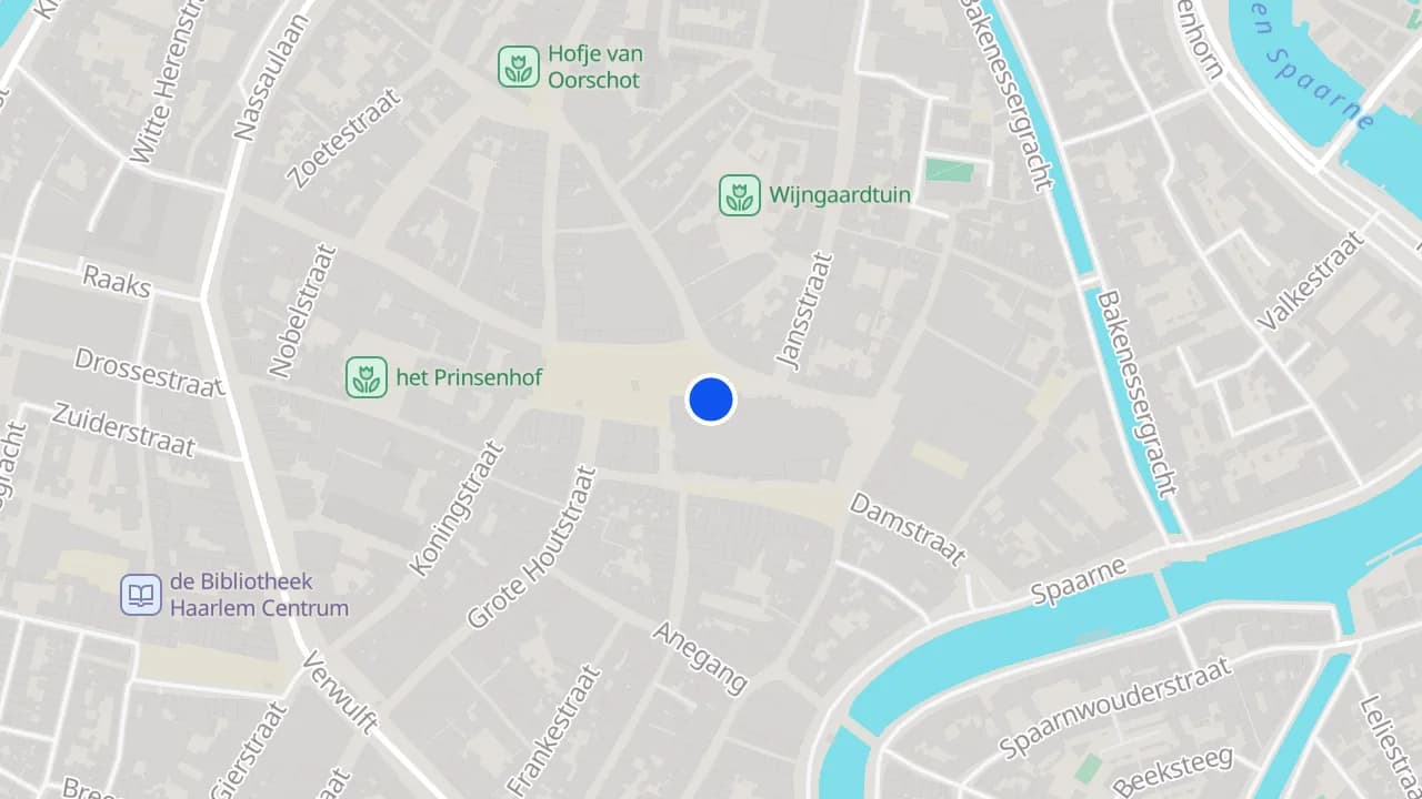 A map of the Grote Markt in Haarlem with a marker
